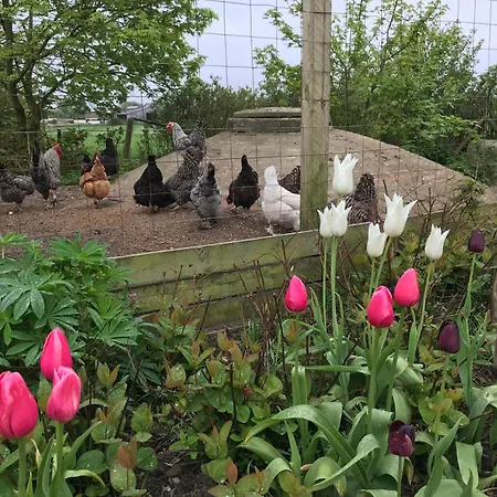 Nygaard Bed and Breakfast 3*