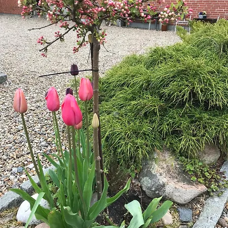 住宿加早餐酒店 Nygaard 3*