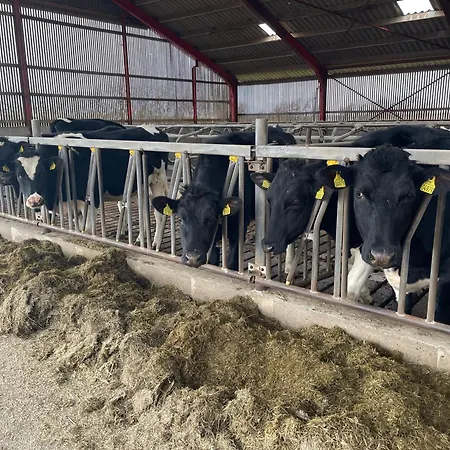 לינה וארוחת בוקר Nygaard Nørre Nebel