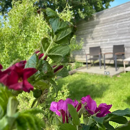 Nygaard Nørre Nebel