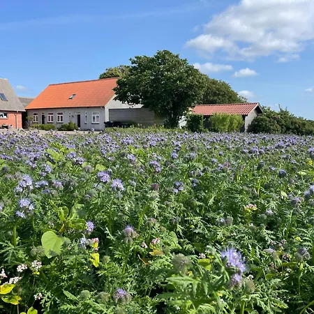 住宿加早餐酒店 Nygaard