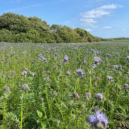 Nygaard Nocleg ze śniadaniem Nørre Nebel