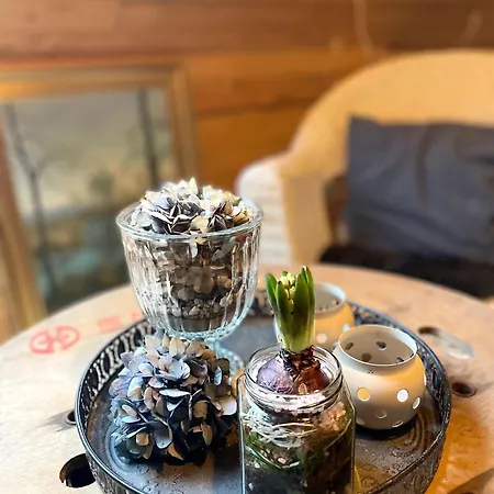 Nygaard Nocleg ze śniadaniem Nørre Nebel