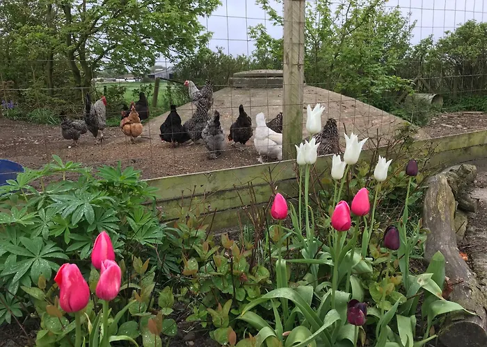 Nygaard Bed & Breakfast 3*