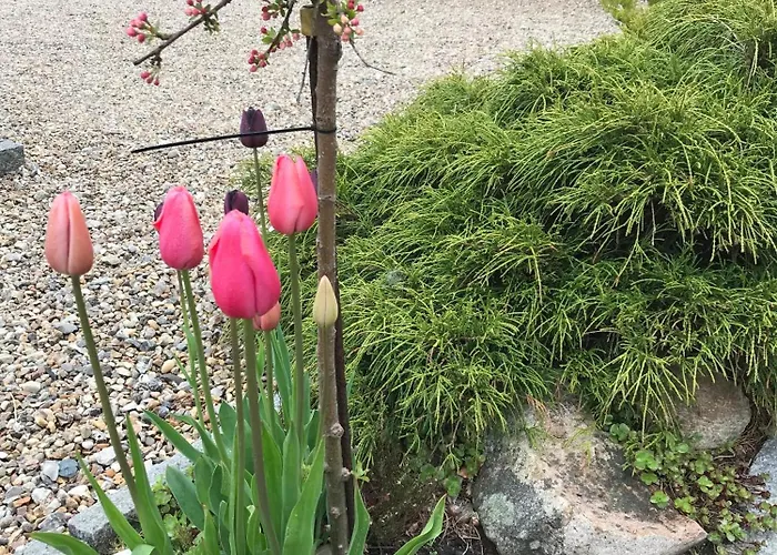 Bed & Breakfast Nygaard 3*