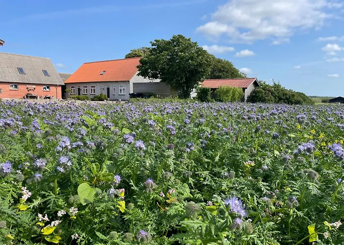 Bed & Breakfast Nygaard