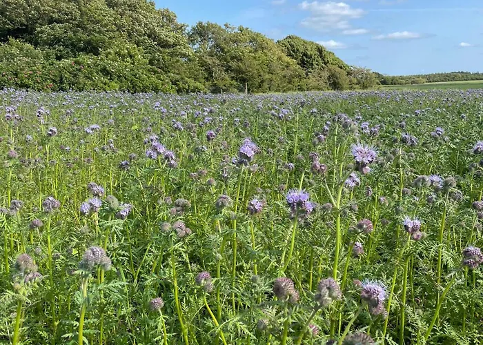 Nygaard Bed & Breakfast Nørre Nebel