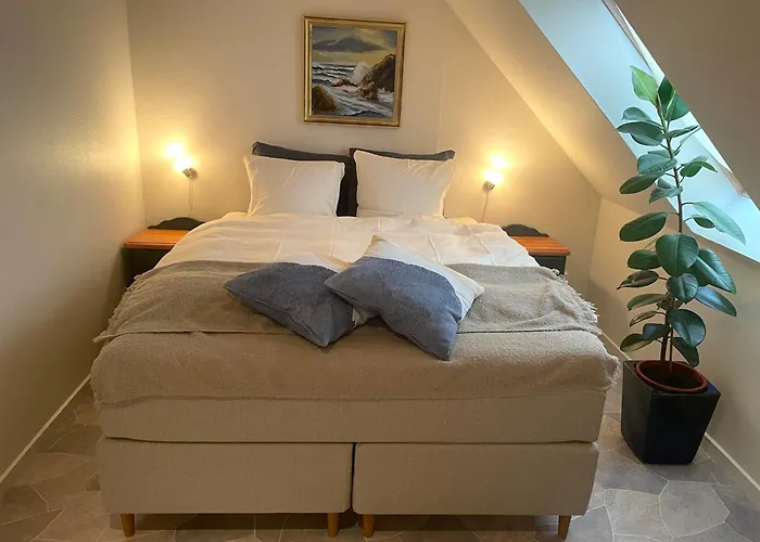 Nygaard 3*