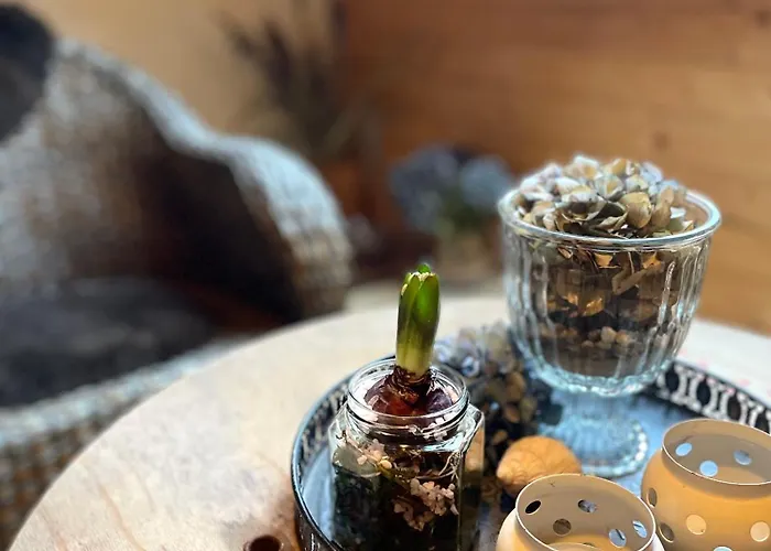 Nygaard Nørre Nebel